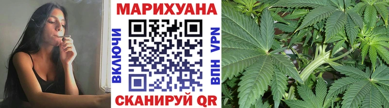 Шишки марихуана план Канаш